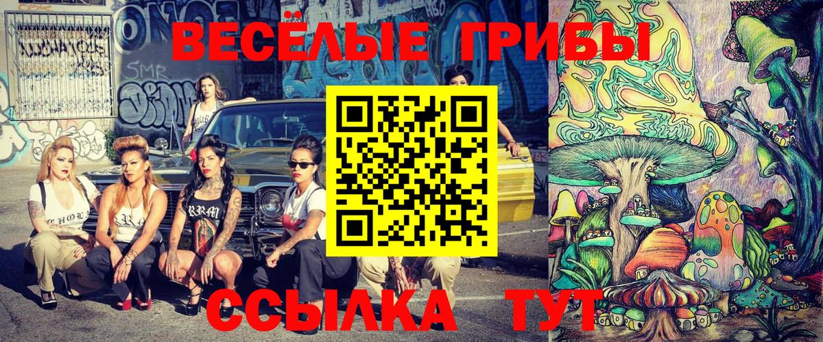 Псилоцибиновые грибы Psilocybe Брянск